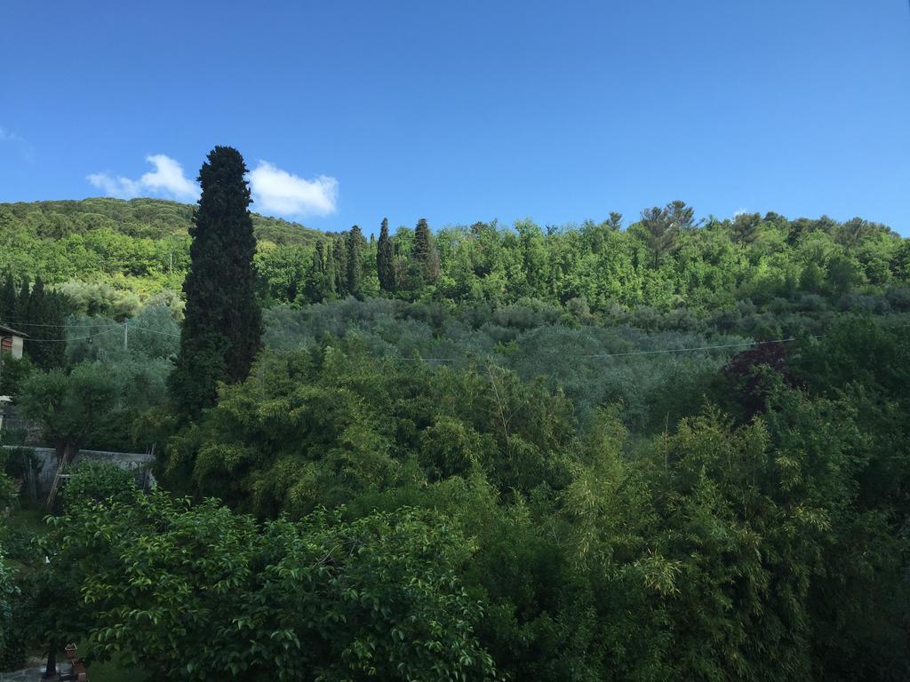 Villa Nobili B&B Bagno a Ripoli Екстериор снимка