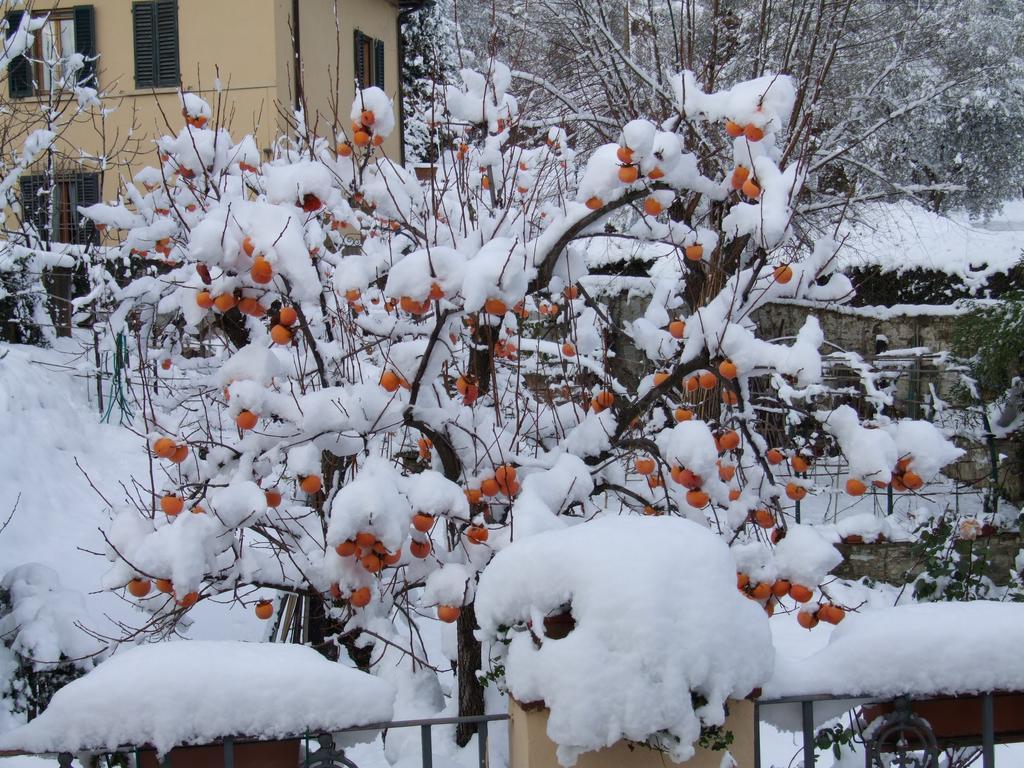 Villa Nobili B&B Bagno a Ripoli Стая снимка
